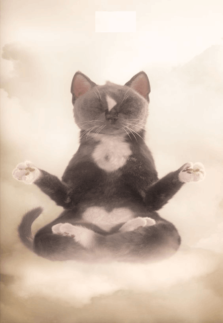 Meditation Image